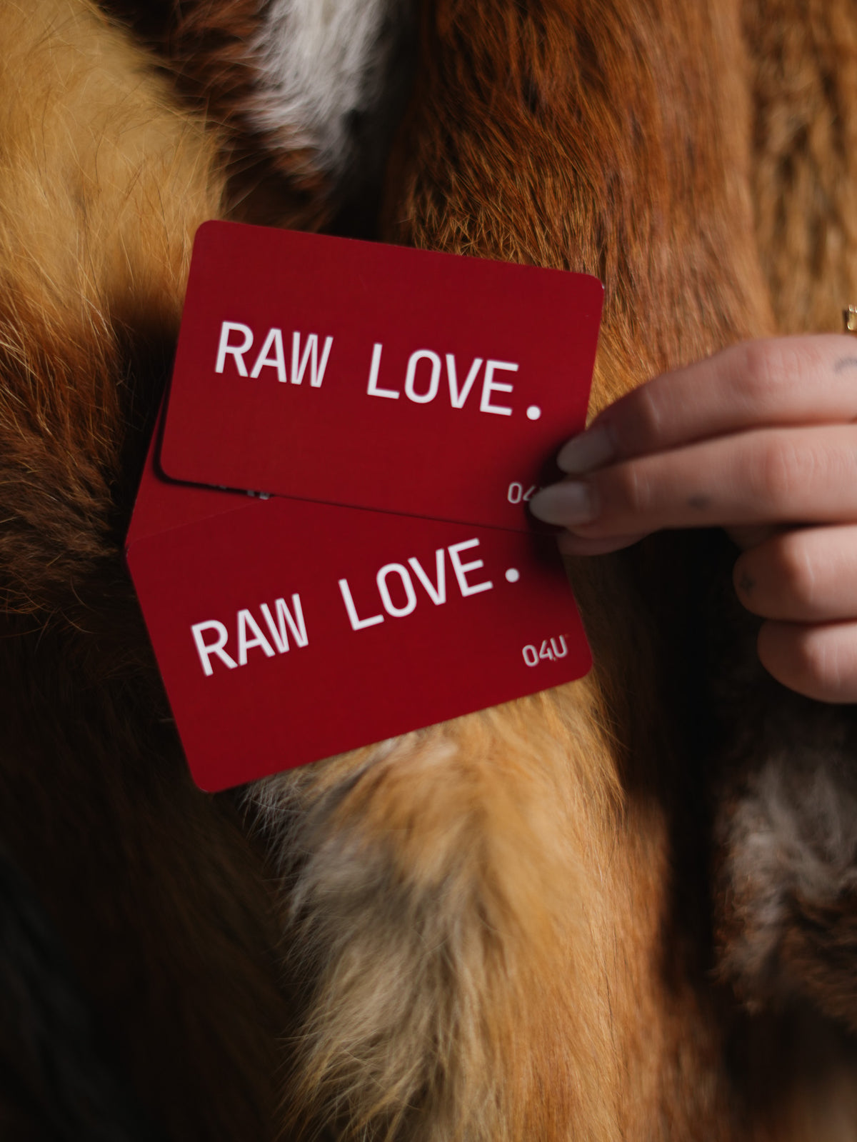 JOGO RAW LOVE